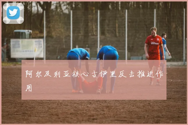 阿尔及利亚核心古伊里反击推进作用